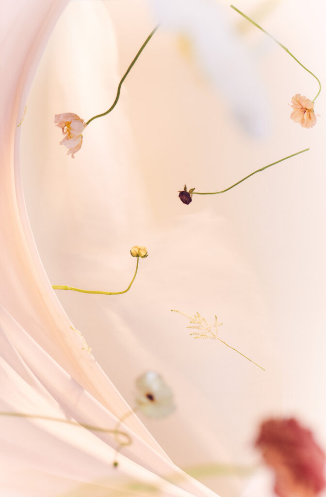 20230406 creativetest stilllife products lw0365 cr rt v1