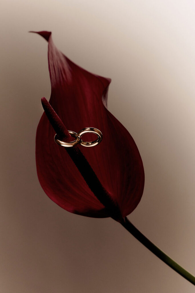 20230612 aa jewelry creative test still life 06 049 rt v1 web